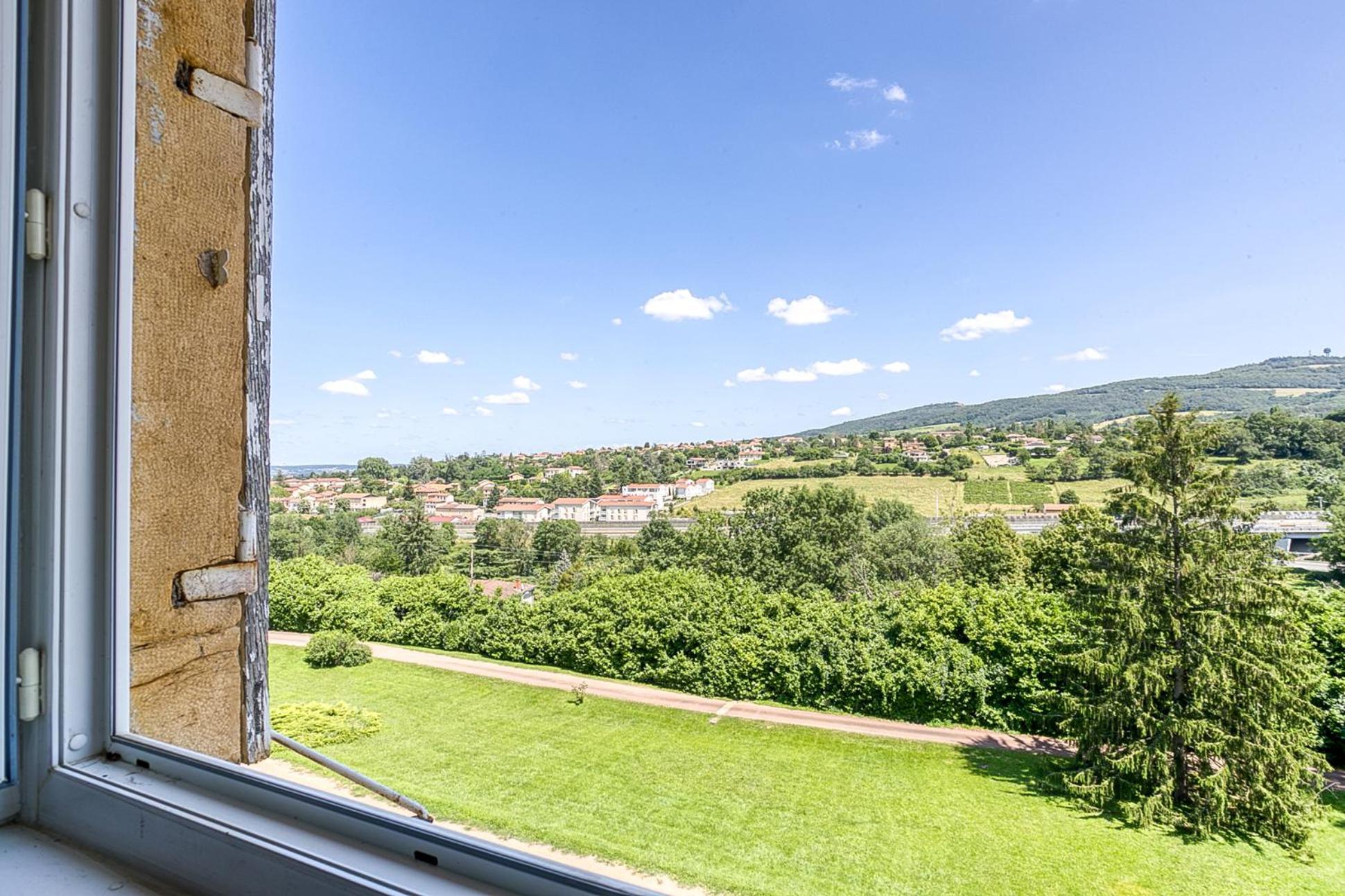 Sejourner Au Chateau De La Roue Grand Appartement Lissieu Exterior photo